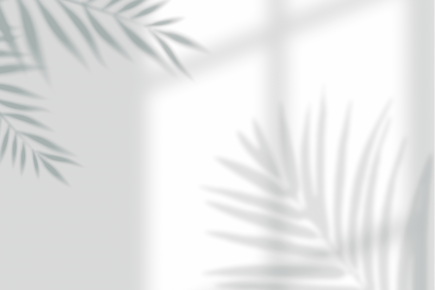 Frosted window with overlapping translucent palm leaves and a green view outside.